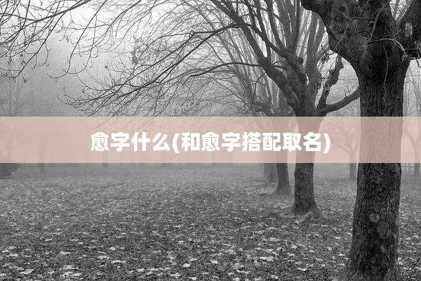 愈字什么(和愈字搭配取名)