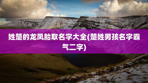 姓楚的龙凤胎取名字大全(楚姓男孩名字霸气二字)