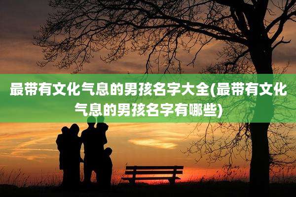 最带有文化气息的男孩名字大全(最带有文化气息的男孩名字有哪些)