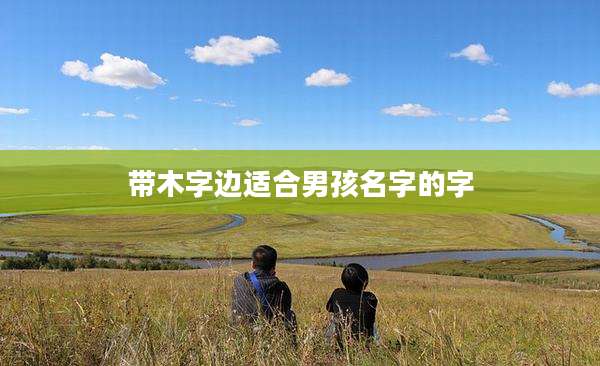 带木字边适合男孩名字的字