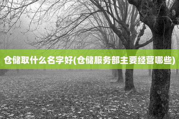 仓储取什么名字好(仓储服务部主要经营哪些)