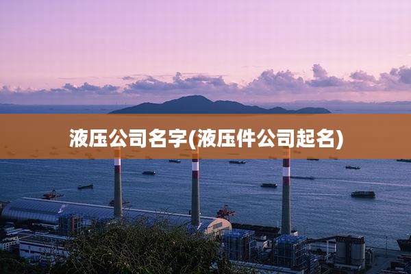液压公司名字(液压件公司起名)