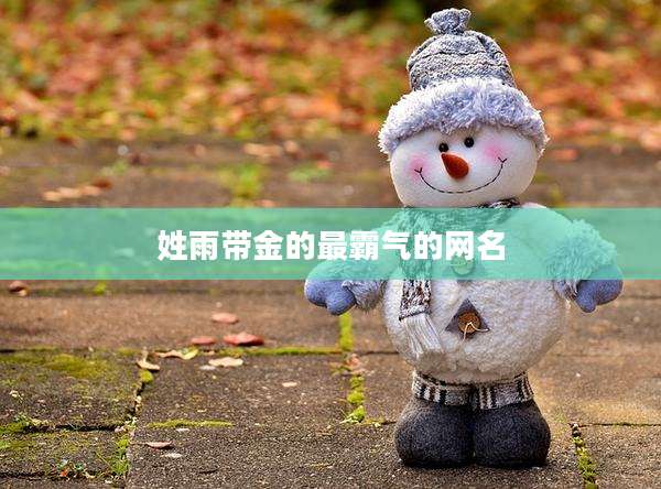 姓雨带金的最霸气的网名