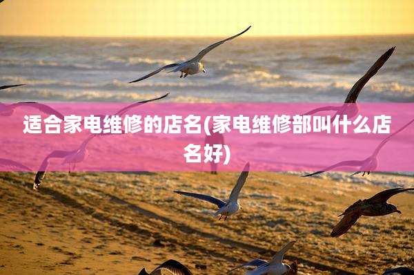 适合家电维修的店名(家电维修部叫什么店名好)