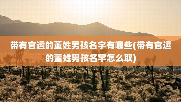 带有官运的董姓男孩名字有哪些(带有官运的董姓男孩名字怎么取)