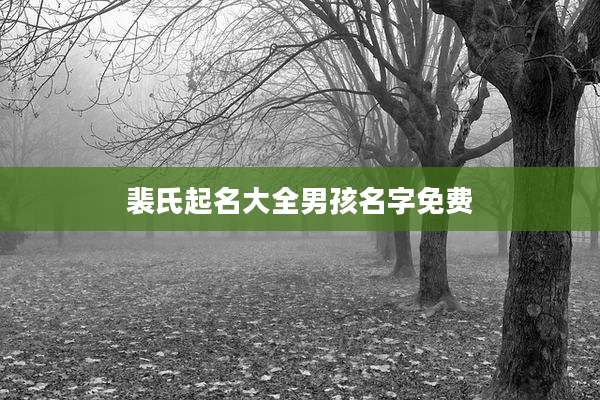 裴氏起名大全男孩名字免费