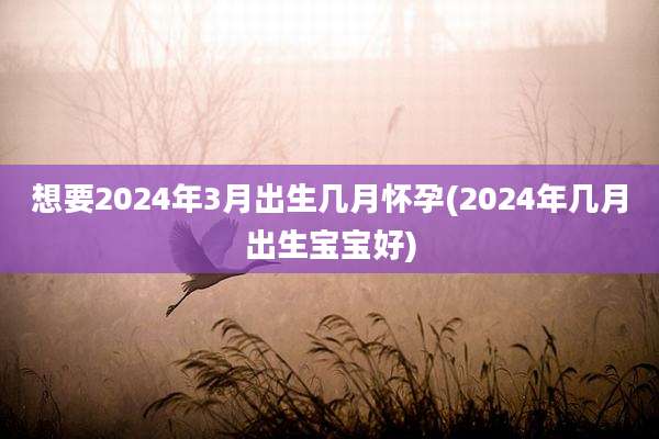 想要2024年3月出生几月怀孕(2024年几月出生宝宝好)