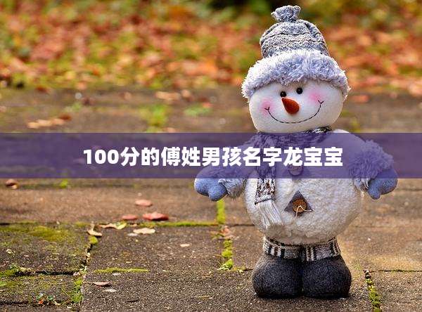 100分的傅姓男孩名字龙宝宝