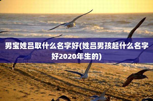 男宝姓吕取什么名字好(姓吕男孩起什么名字好2020年生的)
