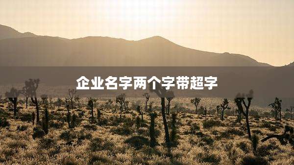 企业名字两个字带超字