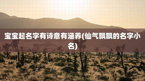 宝宝起名字有诗意有涵养(仙气飘飘的名字小名)