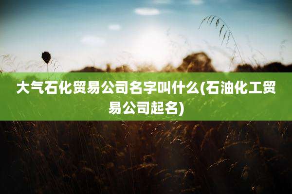 大气石化贸易公司名字叫什么(石油化工贸易公司起名)