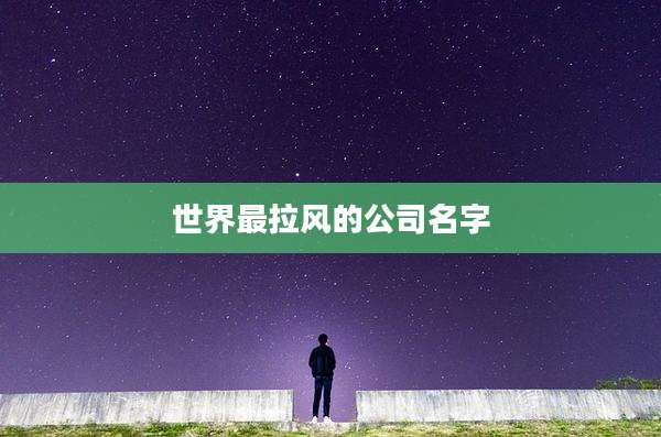 世界最拉风的公司名字