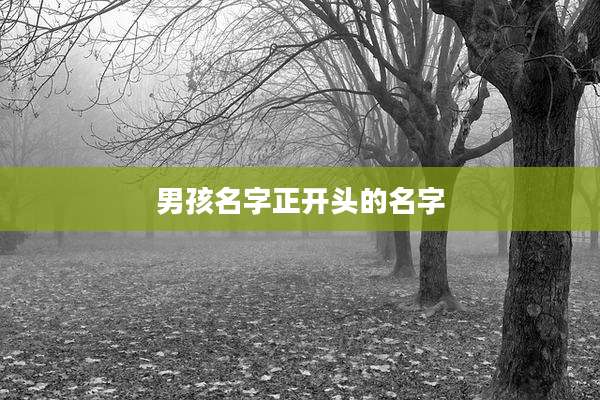 男孩名字正开头的名字