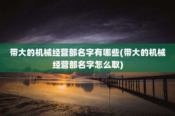 带大的机械经营部名字有哪些(带大的机械经营部名字怎么取)