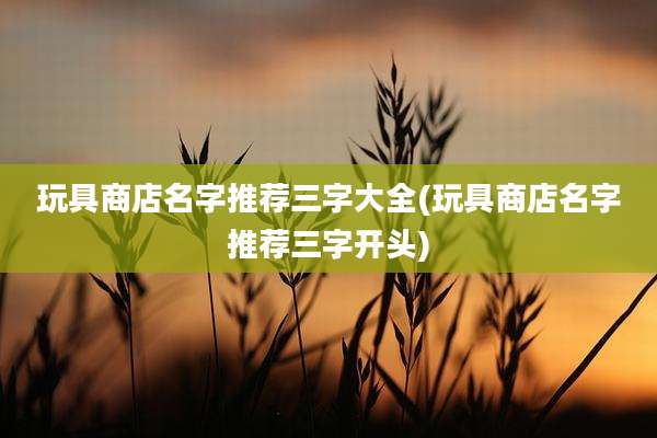 玩具商店名字推荐三字大全(玩具商店名字推荐三字开头)