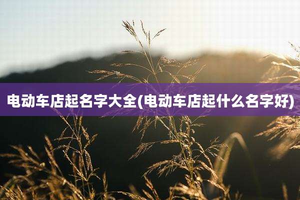 电动车店起名字大全(电动车店起什么名字好)