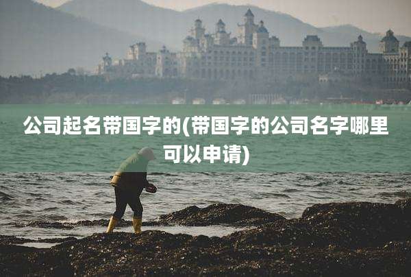 公司起名带国字的(带国字的公司名字哪里可以申请)