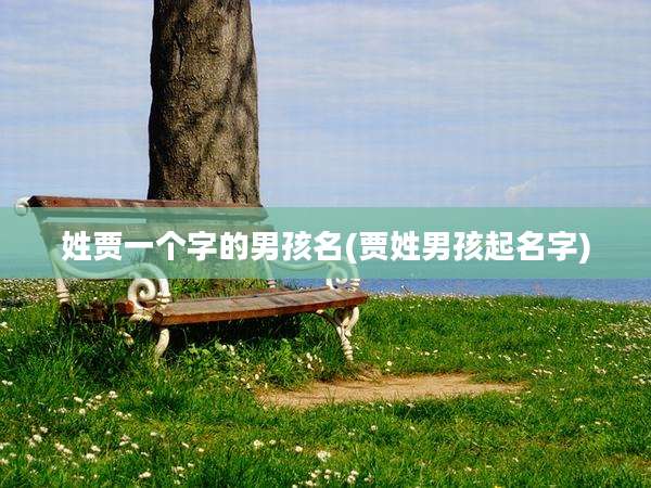 姓贾一个字的男孩名(贾姓男孩起名字)