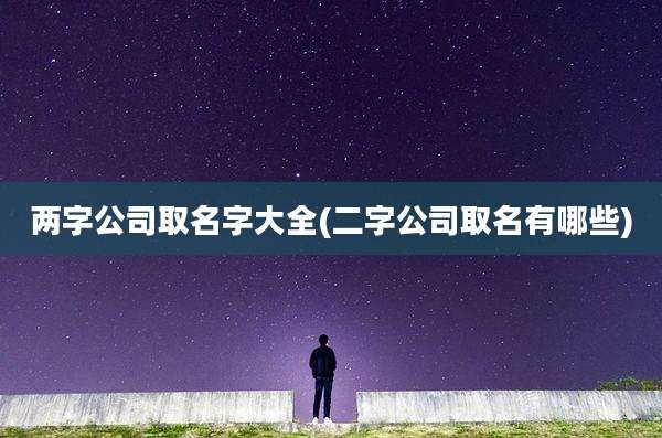 两字公司取名字大全(二字公司取名有哪些)