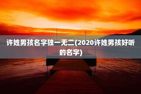 许姓男孩名字独一无二(2020许姓男孩好听的名字)