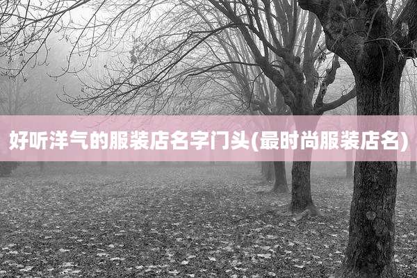 好听洋气的服装店名字门头(最时尚服装店名)