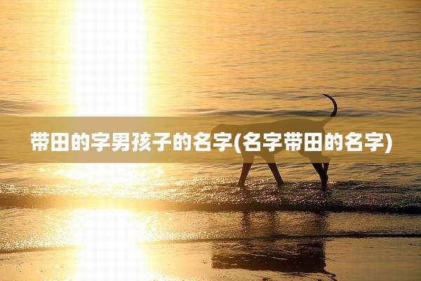 带田的字男孩子的名字(名字带田的名字)
