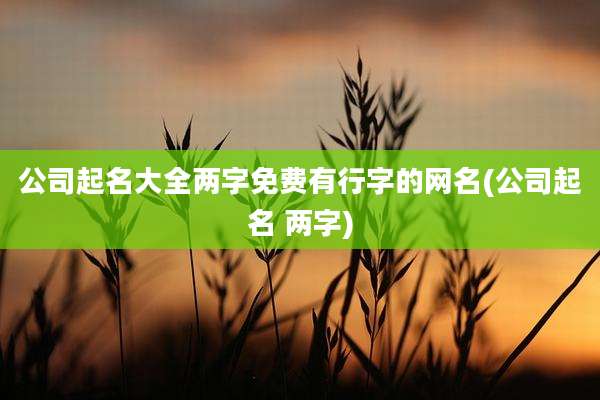 公司起名大全两字免费有行字的网名(公司起名 两字)