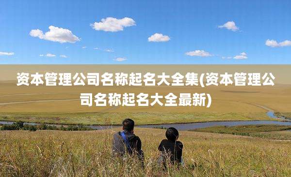 资本管理公司名称起名大全集(资本管理公司名称起名大全最新)