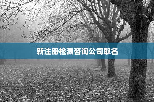 新注册检测咨询公司取名