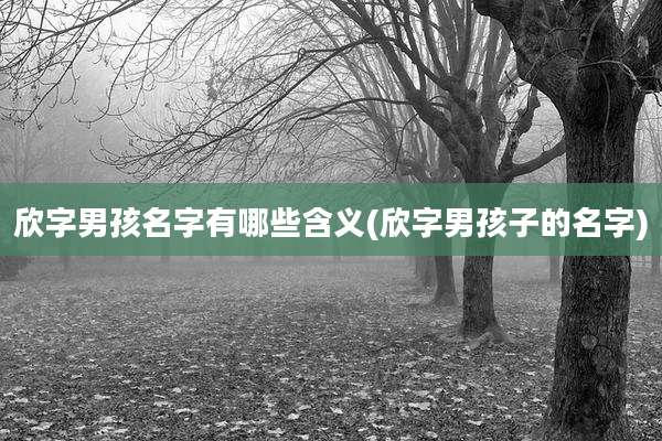 欣字男孩名字有哪些含义(欣字男孩子的名字)