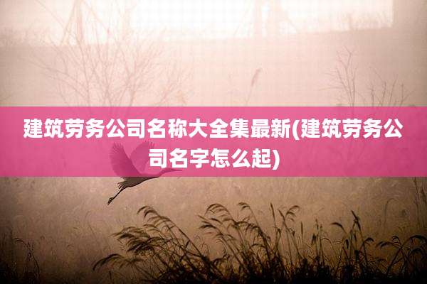 建筑劳务公司名称大全集最新(建筑劳务公司名字怎么起)