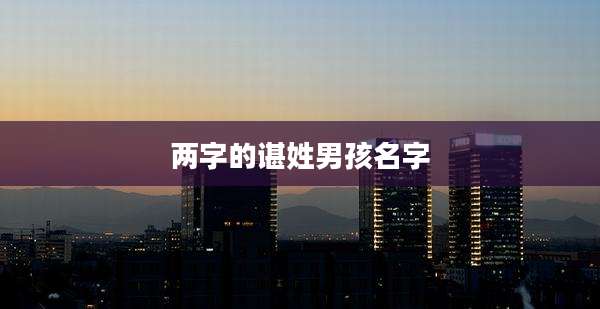 两字的谌姓男孩名字