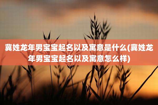 冀姓龙年男宝宝起名以及寓意是什么(冀姓龙年男宝宝起名以及寓意怎么样)