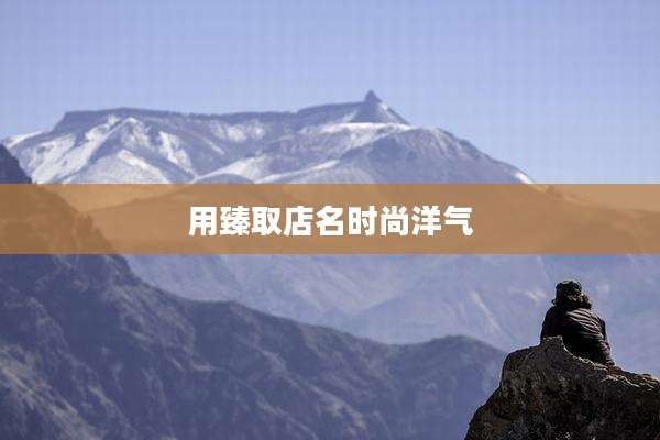 用臻取店名时尚洋气