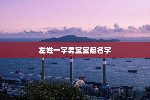 左姓一字男宝宝起名字