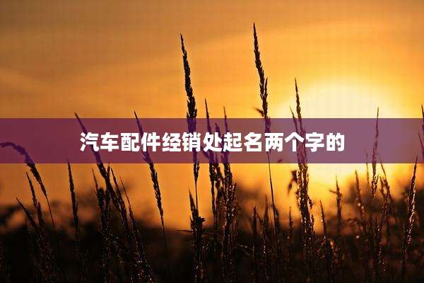 汽车配件经销处起名两个字的