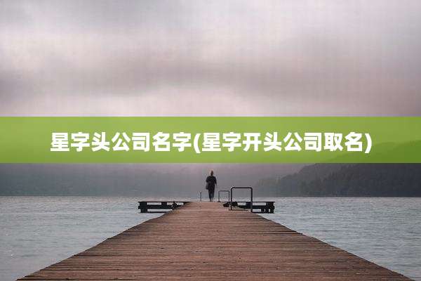 星字头公司名字(星字开头公司取名)