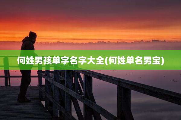 何姓男孩单字名字大全(何姓单名男宝)