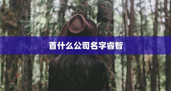 首什么公司名字睿智