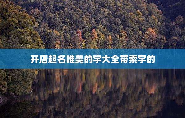开店起名唯美的字大全带索字的