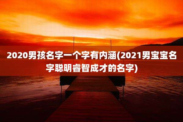 2020男孩名字一个字有内涵(2021男宝宝名字聪明睿智成才的名字)