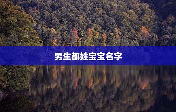 男生都姓宝宝名字