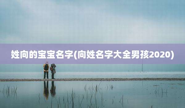 姓向的宝宝名字(向姓名字大全男孩2020)