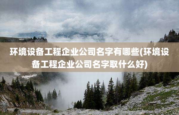 环境设备工程企业公司名字有哪些(环境设备工程企业公司名字取什么好)