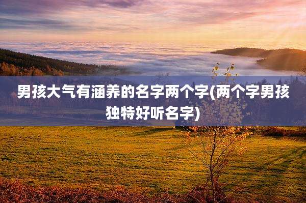 男孩大气有涵养的名字两个字(两个字男孩独特好听名字)