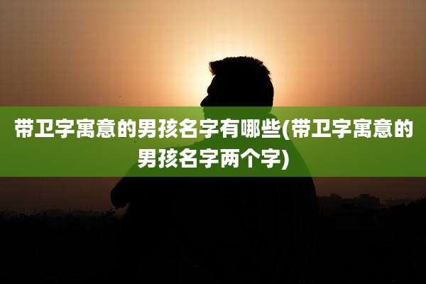 带卫字寓意的男孩名字有哪些(带卫字寓意的男孩名字两个字)