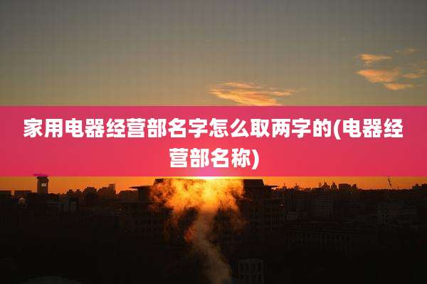 家用电器经营部名字怎么取两字的(电器经营部名称)