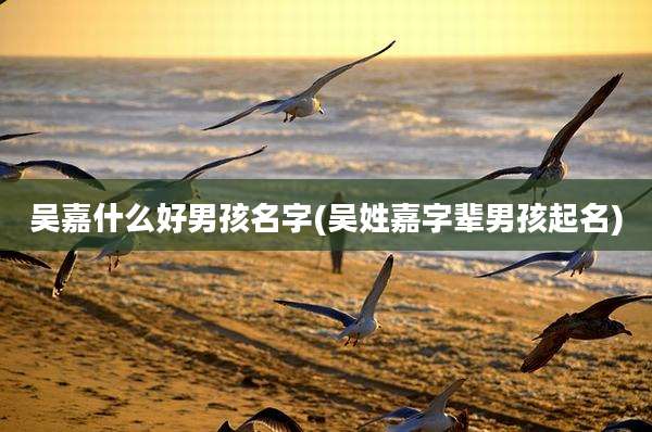吴嘉什么好男孩名字(吴姓嘉字辈男孩起名)