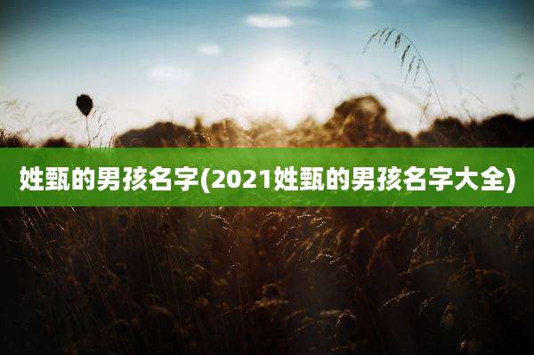 姓甄的男孩名字(2021姓甄的男孩名字大全)